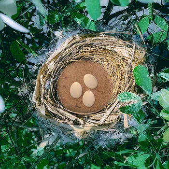 10 шт Коврик для гнезда из голубиных яиц Игрушки для птичьей клетки Коврик для домика Аксессуары для птичьей клетки 2