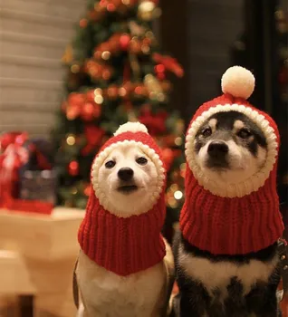 Забавная собачья шапка с помпоном, вязаная милая собачья шапка, красная теплая зимняя шапка greyhound для фотосессии