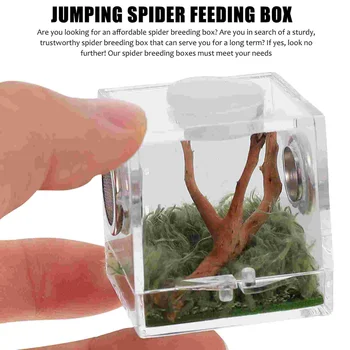 Коробка для разведения прыгающих пауков, клетка для рептилий, домик для насекомых, среда обитания, акриловая переноска 1